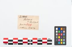 Etikett zu Eisengriffangelmesser (NHMW-PRAE-025608)